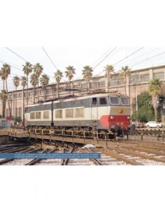 40 anni di Caimani 2