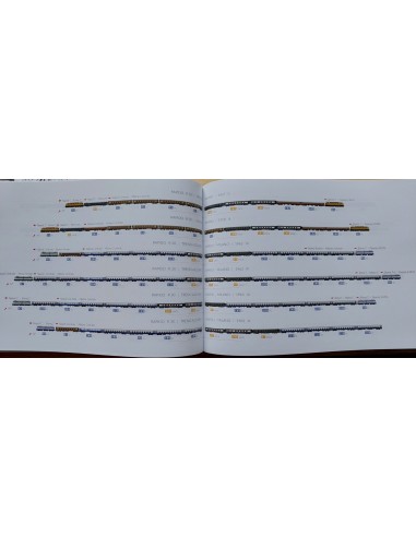 1001 Composizioni di treni