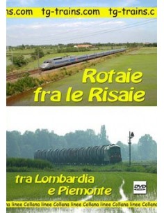 Rotaie fra le risaie
