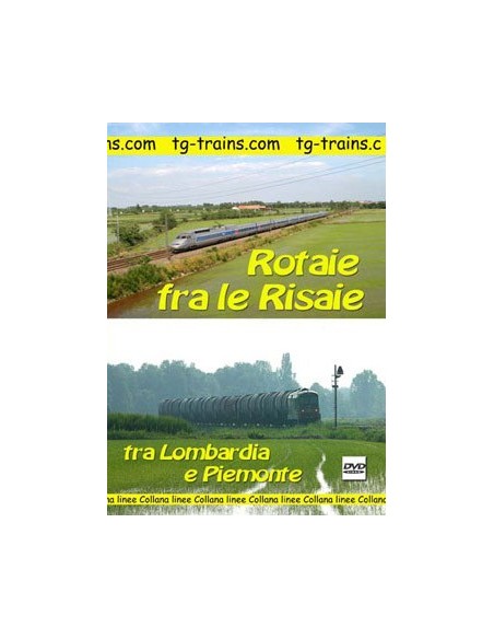 Rotaie fra le risaie