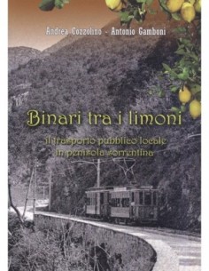 Binari tra i limoni
